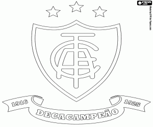 Logo América Mineiro boyama