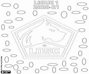 LOSC Lille, 2020-2021 şampiyonu boyama