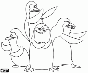 Madagaskar Penguenler boyama