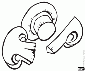 Birkaç mantarları Sote boyama