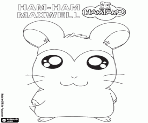Maxwell hamster Ham-Ham boyama