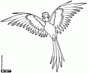 Mücevher tüylerini havalıyor boyama