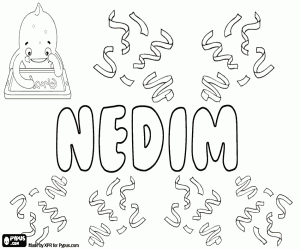 Nedim, Nadim çesidi boyama