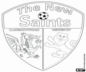 New Saints FC	kalkan boyama