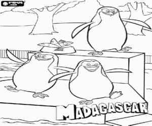 New York penguenler boyama