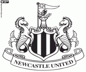 Newcastle United kalkan boyama