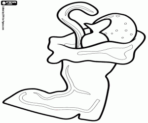 Noel Baba bot hediyeler ile boyama