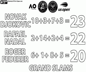 Novak Djokovic, 23 Grand Slam şampiyonluğu boyama