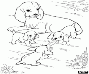 Onun yavruları anne köpekle boyama