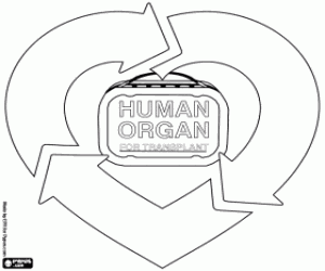 Organ nakli ve bağışı boyama