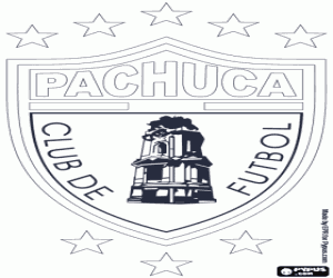 Pachuca CF kalkan boyama