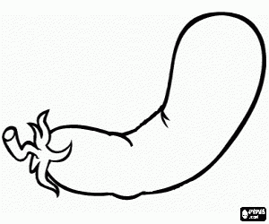 Patlıcan, yenilebilir meyve boyama