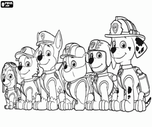 Paw Patrol altı köpek boyama