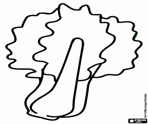 Pazı, yenilebilir bir bitki boyama