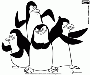 Penguenler eylem grubu boyama