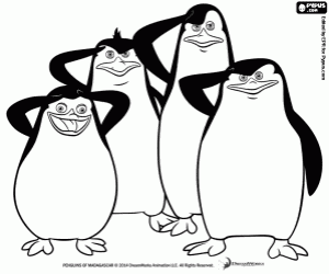 Dört penguenler Madagaskar boyama