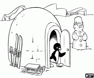 Pingu, Eskimo ve kardan adam boyama