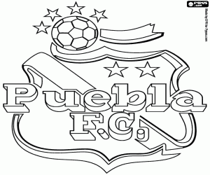 Puebla FC kalkan boyama