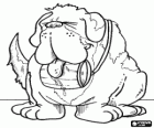 St Bernard, boynunda konyak namlulu bir kurtarma köpeği