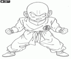 Krillin Master Roshi ile Son Goku eğitimin ilk rakibi ve en iyi arkadaşı olur