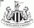 Newcastle United FC Amblem, İngiltere futbol takımı