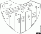 Bursaspor Kulübü Logo, Türk futbol kulübü