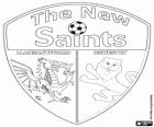 New Saints FC Logo, Galli futbol kulübü