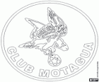 CD Motagua rozet. Tegucigalpa, Honduras Futbol Kulübü