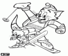 Tom ve Jerry kayaklar ile karda