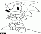 Sonic Kirpi, Sega dan Sonic videogames ana kahramanı