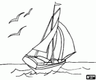Yelkenli, martı ve uçuş altında denizlerde yelken