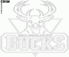 Logo Milwaukee Bucks, NBA takımı. Merkez Grubu, Doğu Konferansı