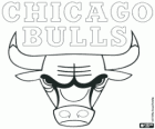 Logo Chicago Bulls, NBA takımı. Merkez Grubu, Doğu Konferansı