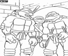 Kendi maceralarını birinde Ninja Kaplumbağalar, Ninja Turtles