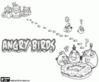 Kuşlar, yumurta ve Angry Birds yeşil domuzlar