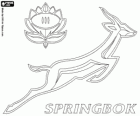 Güney Afrika Milli ragbi takımı, springboks logosu. Amblem, springbok ve protea