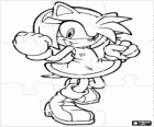 Amy Rose yapboz, Sonic kız