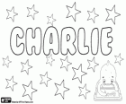 Charlie, adı Charles türetilmiştir. Genellikle bir kullanıcı adı Charles için