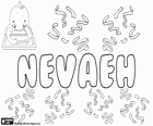 Nevaeh, İngilizce kelime Heaven, cennet, geriye doğru yazarak oluşturulan modern adı