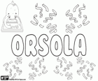 Orsola, adı derived Latin Orsa ya da Ursula. Küçük ayı onun anlamıdır