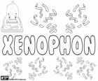 Xenophon, adını Yunan kökenli Ksenofon
