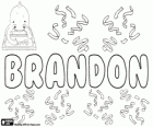 Brandon, İngilizce kökenli isim. Katırtırnağı kaplı bir tepe anlamına gelir bir soyadı ilk olarak yapıldı