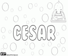 Cesar, Latin kökenli isim. Gelen Latince Caesar takma