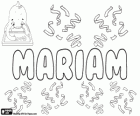 Mariam, adı ile çeşitli kökenleri ve anlamları. Mariam, Maryam çesidi
