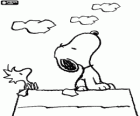 Snoopy'nin ve Woodstock gökyüzüne bakarak