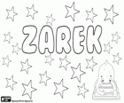 Zarek, adı ile çeşitli kökenleri. Zarek, Lehçe adı