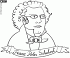 Franz Peter Schubert büstü. 1797 yılında doğdu ve 1828 yılında öldü ünlü Avusturyalı besteci