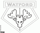 Watford FC rozeti. Hornets