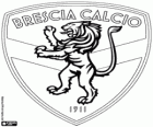 Brescia Calcio rozeti. Futbol kulübü Brescia, Lombardiya bölgesindeki şehir