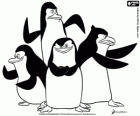 Penguenler harekete hazır bir grup. Madakaskar Penguenleri